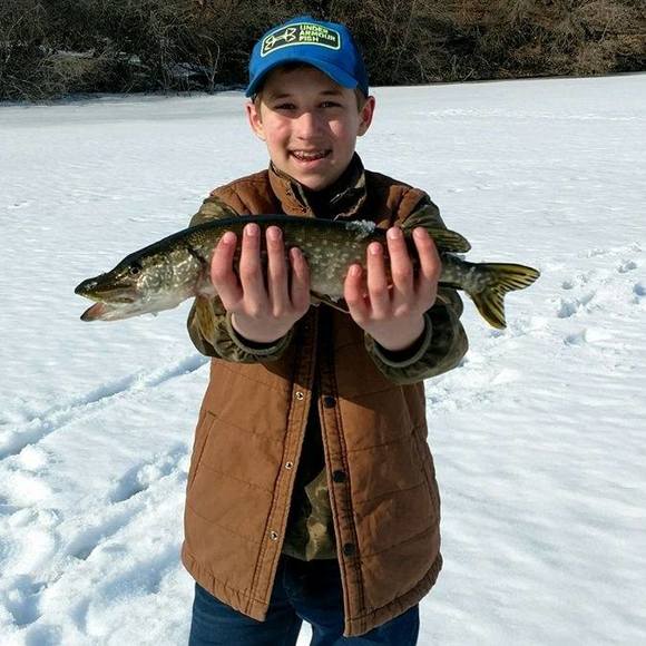 Meet your Posher, Blake - Picture 1 of 1